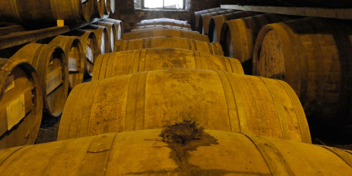 kentucky-bourbon-barrels